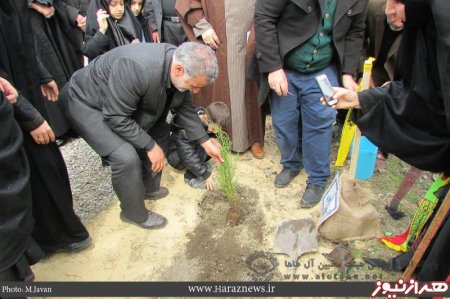 مراسم نهال کاری یادبود شهدای مدافع حرم شهرستان آمل در حسینیه آل طاها